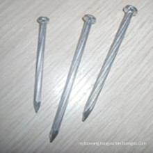 High Quality Galvanized Concrete Nails with Spiral Shank